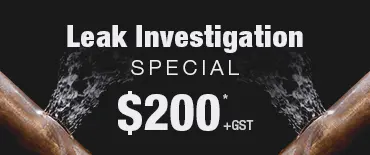 Leak Investigation Discount Oranga